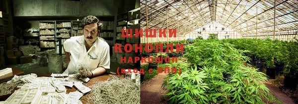 ГАЛЛЮЦИНОГЕННЫЕ ГРИБЫ Белокуриха