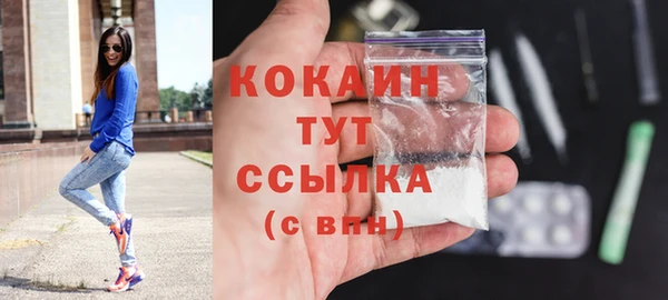 гидра Белоозёрский
