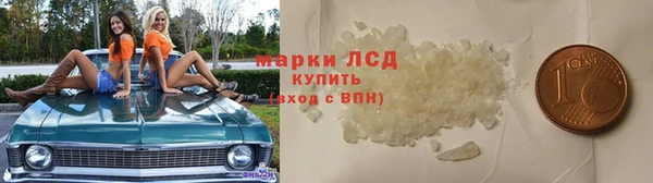 гидра Белоозёрский
