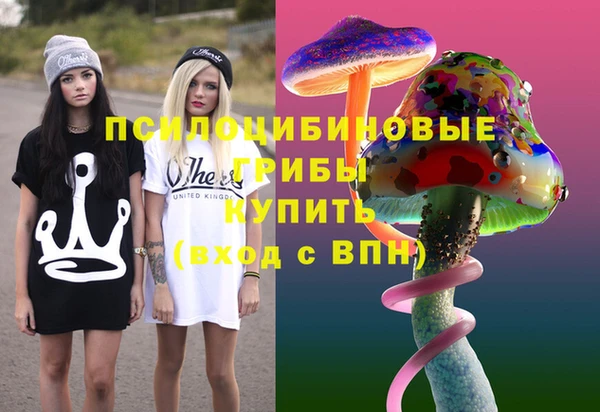 гидра Белоозёрский
