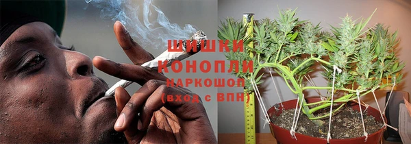 ГАЛЛЮЦИНОГЕННЫЕ ГРИБЫ Белокуриха