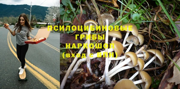гидра Белоозёрский