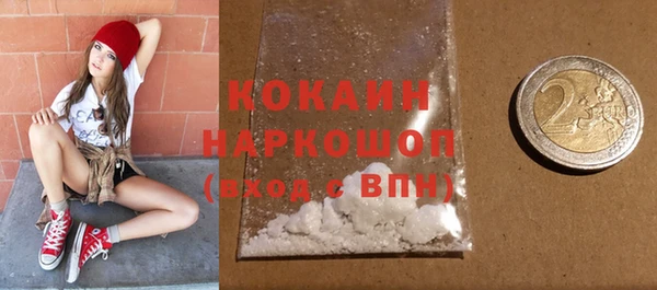 гидра Белоозёрский