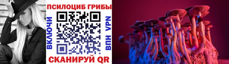 Псилоцибиновые грибы мухоморы  Плёс 